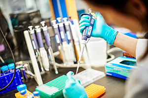 Researcher's hand in a lab using the tools